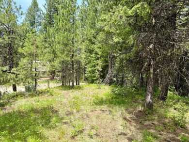 Lake Lot For Sale in Cascade, Idaho