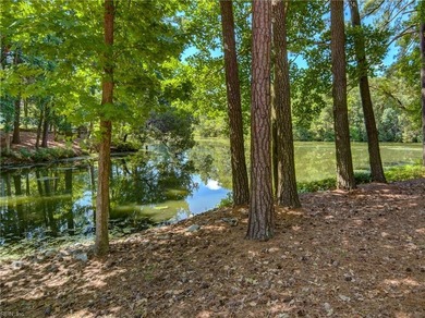 An opportunity to own one of Virginia Beach's truly special - photo 36