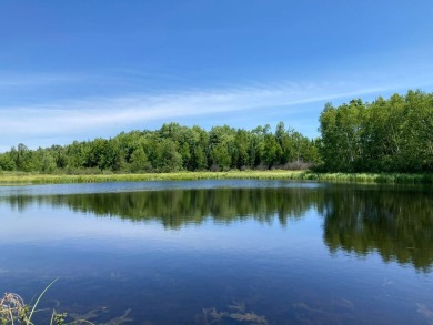 Lake Acreage For Sale in Mosinee, Wisconsin