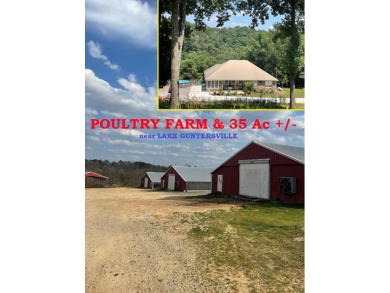 Lake Guntersville Commercial For Sale in Albertville Alabama