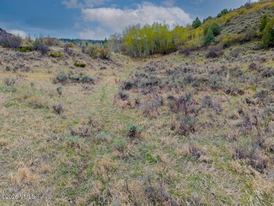 Rare opportunity to purchase a premier 0.97-acre homesite in - photo 14