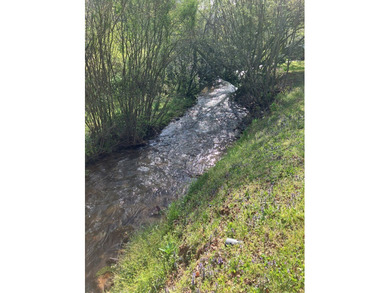 Welcome to your Creekfront Oasis, located in the sought-after