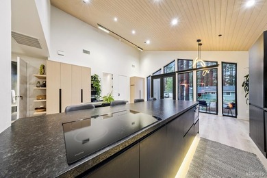 Built in 2022 and offered fully furnished, this mountain-modern - photo 8