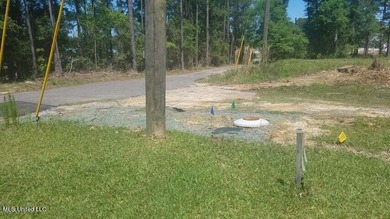 Mostly high dry cleared acreage with two ponds just outside city - photo 3