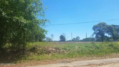 Mostly high dry cleared acreage with two ponds just outside city - photo 4