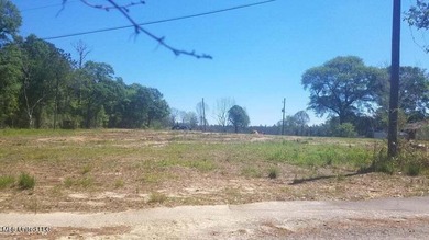 Mostly high dry cleared acreage with two ponds just outside city - photo 6