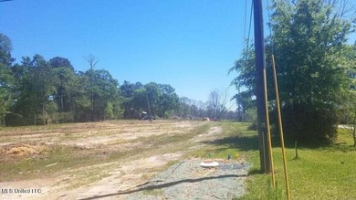 Mostly high dry cleared acreage with two ponds just outside city - photo 7