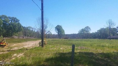Mostly high dry cleared acreage with two ponds just outside city - photo 8