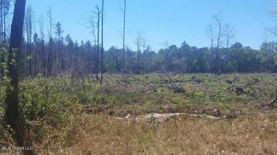 Mostly high dry cleared acreage with two ponds just outside city - photo 10