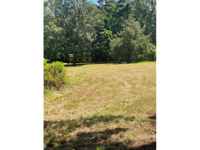 (private lake, pond, coastal) Acreage Sale Pending in Appling Georgia
