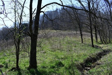 Large tract of land in great location for all your recreational - photo 1