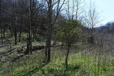 Large tract of land in great location for all your recreational - photo 2