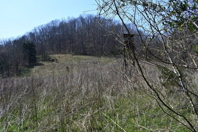 Large tract of land in great location for all your recreational - photo 3