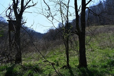 Large tract of land in great location for all your recreational - photo 4
