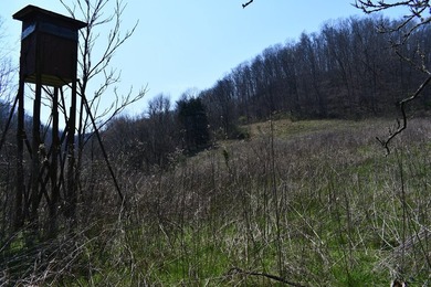 Large tract of land in great location for all your recreational - photo 5