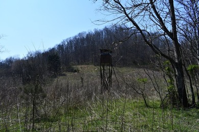 Large tract of land in great location for all your recreational - photo 6