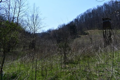 Large tract of land in great location for all your recreational - photo 7