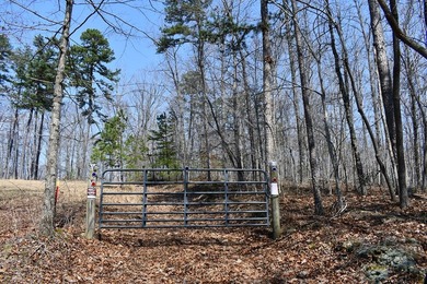 Large tract of land in great location for all your recreational - photo 9
