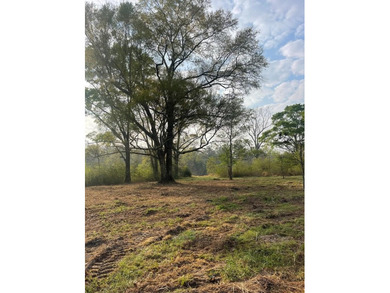 This listing is a little piece of paradise in Poplarville. It's - photo 11