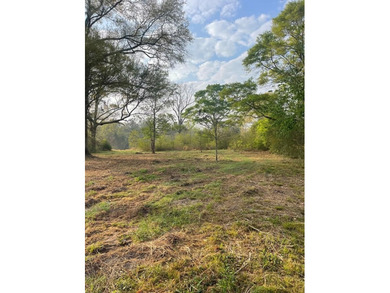 This listing is a little piece of paradise in Poplarville. It's - photo 12