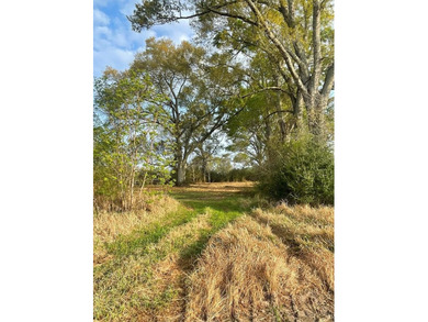 This listing is a little piece of paradise in Poplarville. It's - photo 13