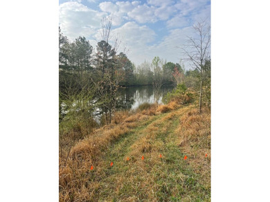 This listing is a little piece of paradise in Poplarville. It's - photo 14