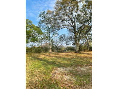 This listing is a little piece of paradise in Poplarville. It's - photo 15
