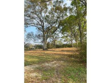 This listing is a little piece of paradise in Poplarville. It's - photo 16