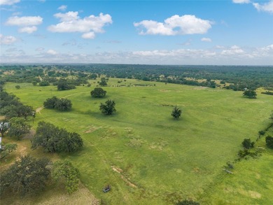 Country Ranch and hunting paradise on 333.17 acres in San Saba - photo 17