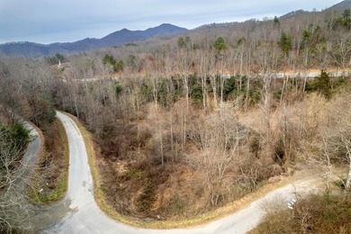 (private lake, pond, coastal) Acreage Sale Pending in Sylva North Carolina