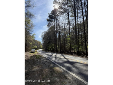 (private lake, pond, coastal) Acreage For Sale in Lena Mississippi