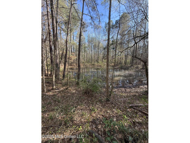 Nestled in Lena, Mississippi, this expansive 56-acre property - photo 2