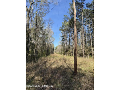 Nestled in Lena, Mississippi, this expansive 56-acre property - photo 4