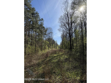 Nestled in Lena, Mississippi, this expansive 56-acre property - photo 5