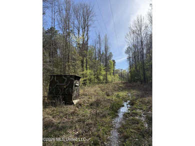 Nestled in Lena, Mississippi, this expansive 56-acre property - photo 6