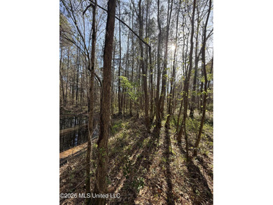 Nestled in Lena, Mississippi, this expansive 56-acre property - photo 7