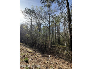 Nestled in Lena, Mississippi, this expansive 56-acre property - photo 8