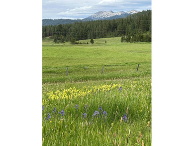 (private lake, pond, creek) Acreage For Sale in Donnelly Idaho