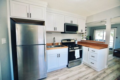 Lake life at its best! This completely remodeled - photo 4