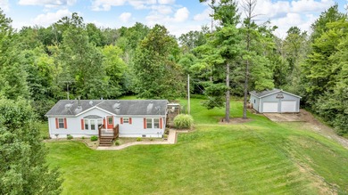 (private lake, pond, creek) Home For Sale in Jackson Michigan