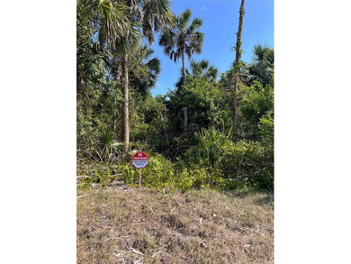 Port Charlotte Waterway Area Lot For Sale in Port Charlotte Florida