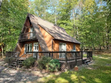 Lake Home For Sale in Hawley, Pennsylvania