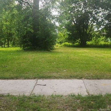 Lake Saint Clair Lot For Sale in Detroit Michigan