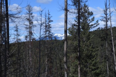 Lake Lot For Sale in Bigfork, Montana