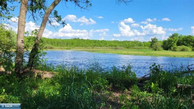 Looking for privacy and seclusion, this property is it.  Located - Lake Acreage For Sale in Buyck, Minnesota