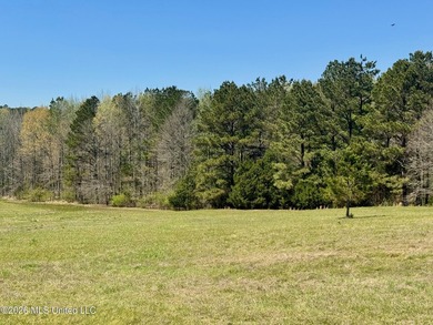 (private lake, pond, coastal) Acreage For Sale in Flora Mississippi
