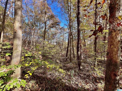 Lake Acreage For Sale in Northport, Alabama