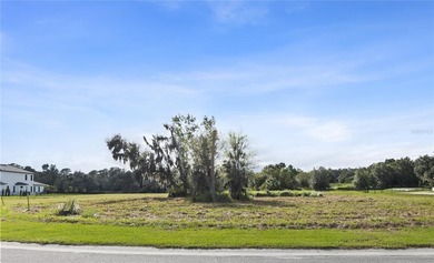 (private lake, pond, creek) Lot For Sale in Lithia Florida