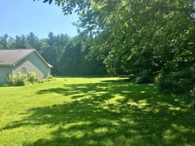 White Pigeon County Ranch. Must see this 3 bedroom 2 bath home - photo 23
