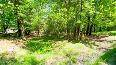 Lake Wallenpaupack Lot For Sale in Lake Ariel Pennsylvania